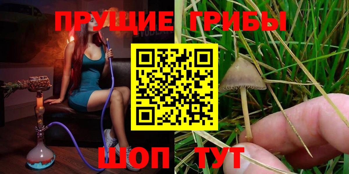 Галлюциногенные грибы Cubensis  Вход с VPN  Реж  Галлюциногенные грибы Psilocybine cubensis 